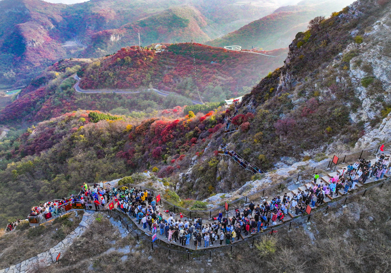 如何打造一个成功的旅游度假区？这个问题的答案多种多样，但今天我们将通过几个关键维度进行对比分析，帮助你找到适合自己的解决方案。
