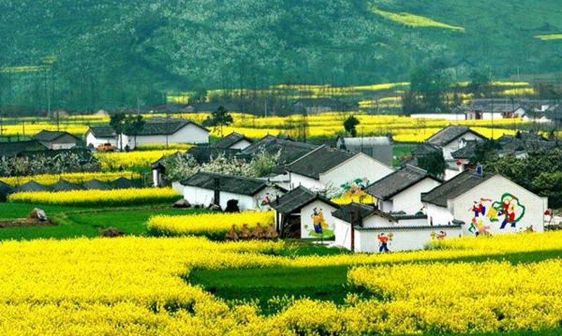 在旅游业快速发展的今天，如何打造一个既美观又实用的旅游度假区成为了业界关注的重点。本文将通过具体案例分析不同规划设计方案的优势与劣势，并为投资者提供一些实用建议。